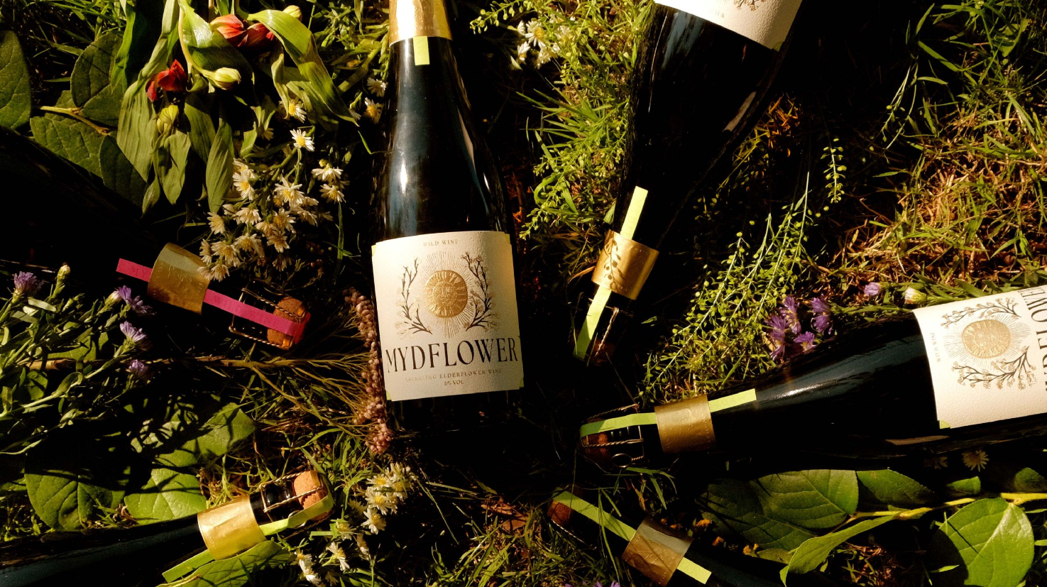 This Folkloric Wine Branding Highlights the Value of Handmade Illustration